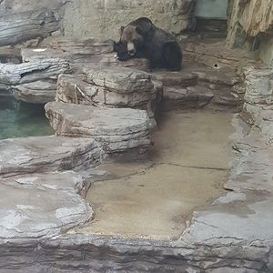 Meet your Posher, Tamima